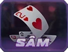 Trò chơi Sâm